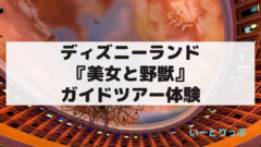 ディズニーランドの 美女と野獣 記念品付きガイドツアー体験 いーとりっぷ